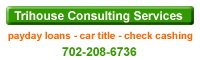 payday loan consultant
